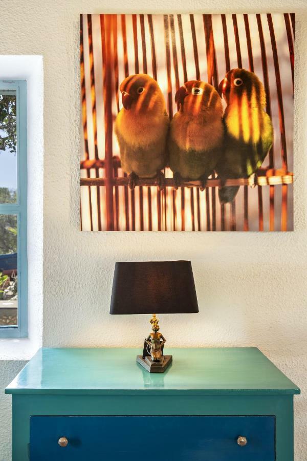Riad Tamayourt Ocean View & Piscine Chauffee A 30 Essaouira Bagian luar foto